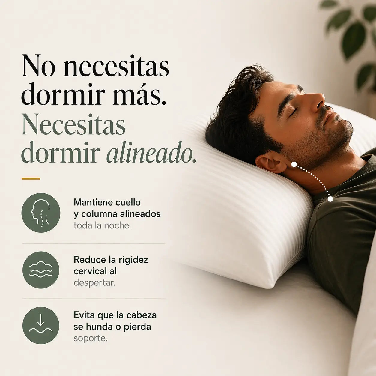 Almohada Viscoelástica 75cm. + Funda Dermis® + Funda de Viaje